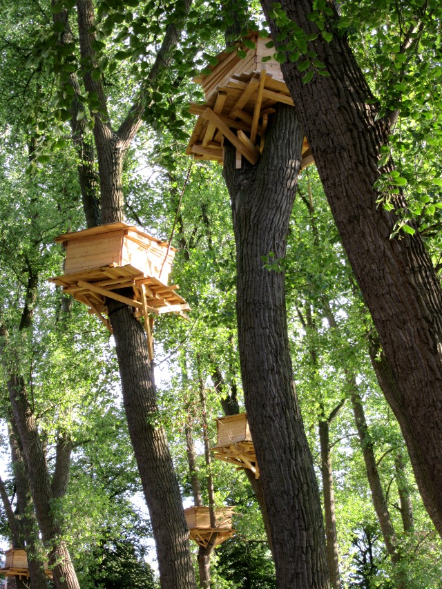 Photo by Kevin Mayne