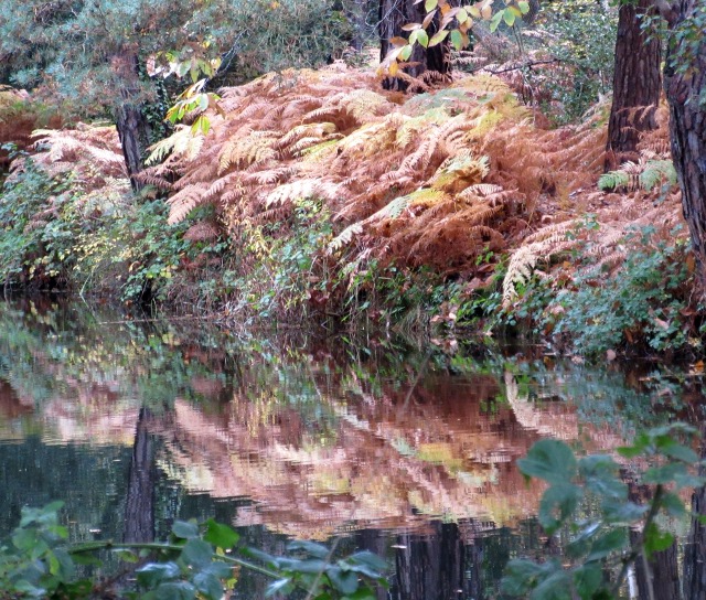 Photo by Kevin Mayne