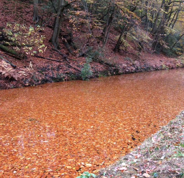 Photo by Kevin Mayne