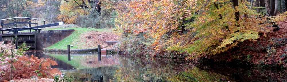 Photo by Kevin Mayne