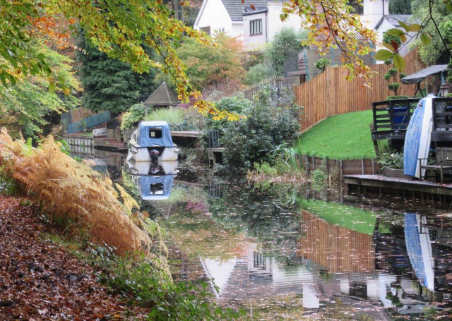 Photo by Kevin Mayne