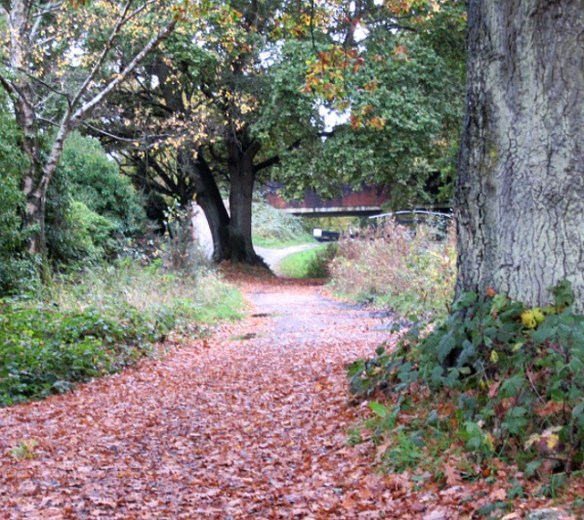 Photo by Kevin Mayne