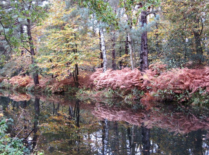 Photo by Kevin Mayne