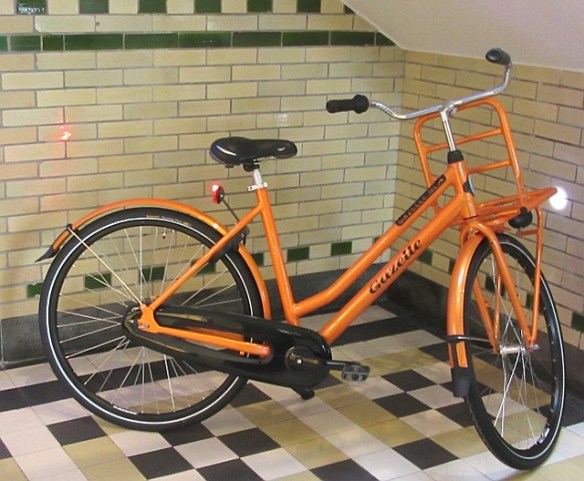 Photo by Kevin Mayne