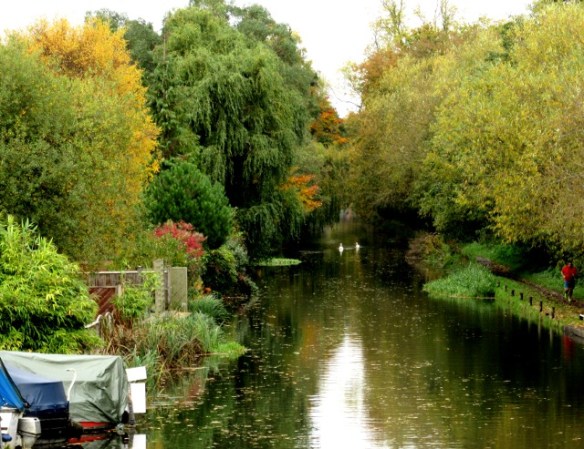 Photo by Kevin Mayne