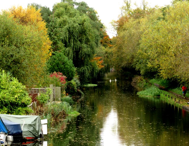 Photo by Kevin Mayne