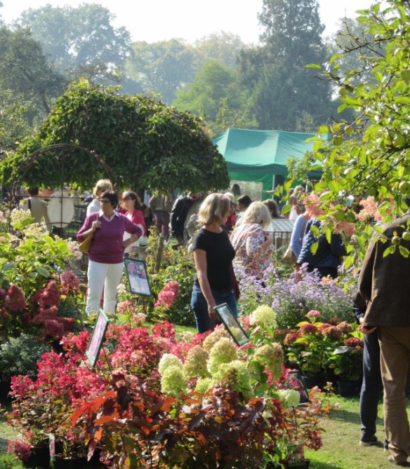 Photo by Kevin Mayne