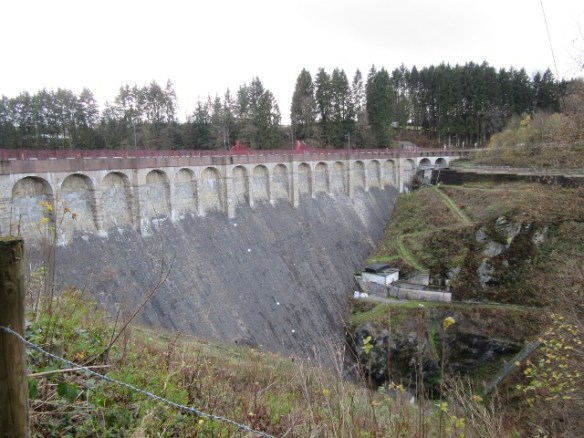 Photo by Kevin Mayne