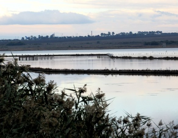 Photo by Kevin Mayne