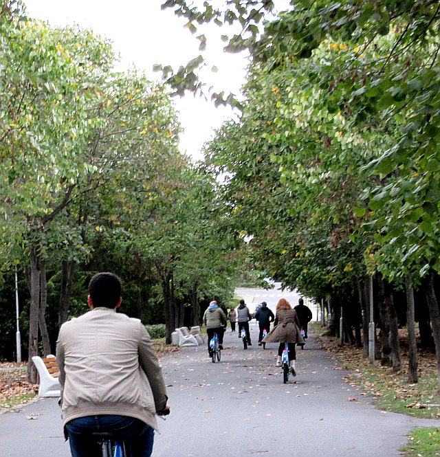 Photo by Kevin Mayne