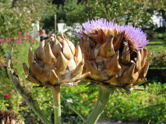 Photo by Kevin Mayne