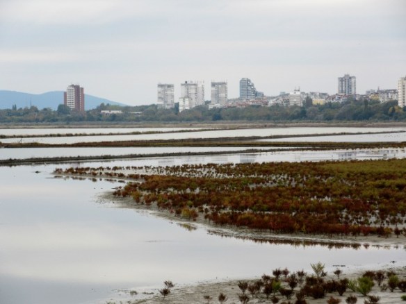 Photo by Kevin Mayne