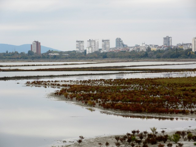 Photo by Kevin Mayne