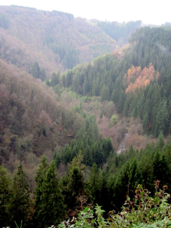 Gue la Warche - Reinhardstein Ardennes