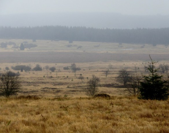 Photo by Kevin Mayne