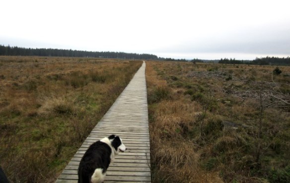 Photo by Kevin Mayne