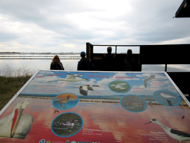 Photo by Kevin Mayne