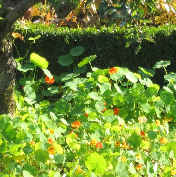 Photo by Kevin Mayne