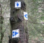 Photo by Kevin Mayne