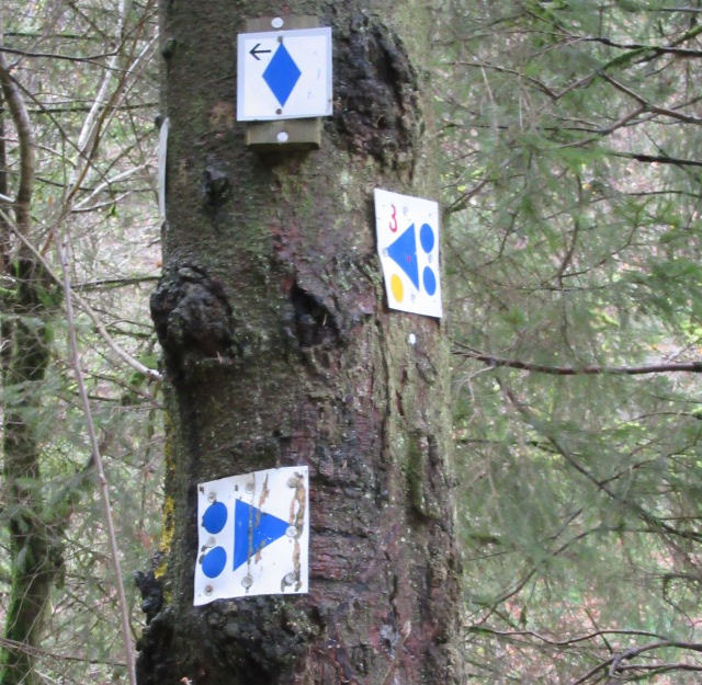 Photo by Kevin Mayne