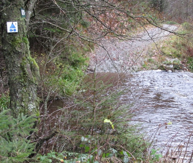 Photo by Kevin Mayne