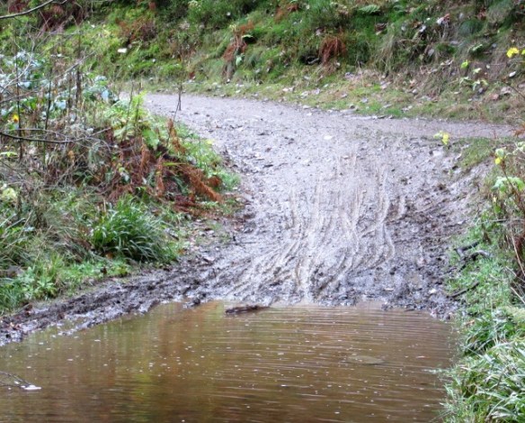 Photo by Kevin Mayne