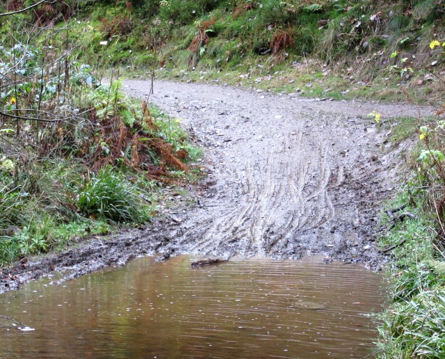 Photo by Kevin Mayne