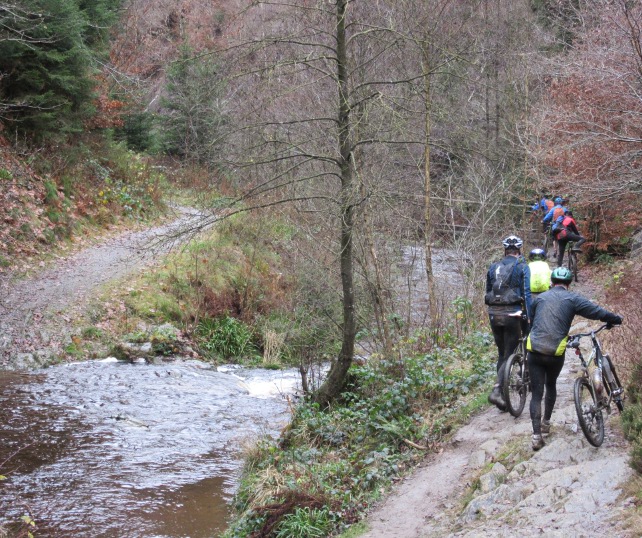 Photo by Kevin Mayne