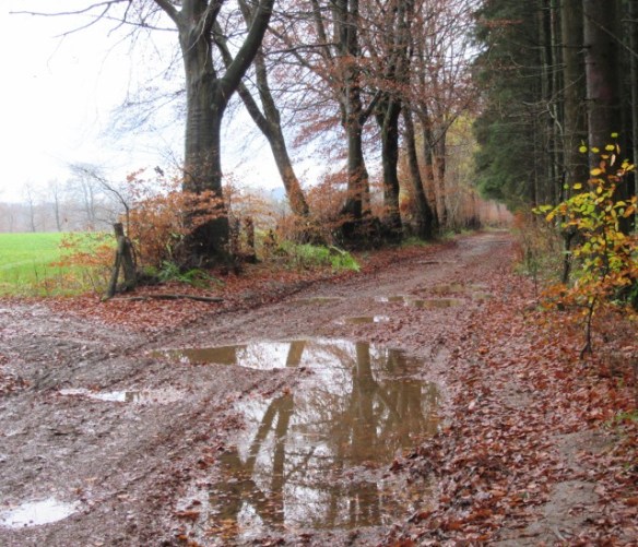 Photo by Kevin Mayne