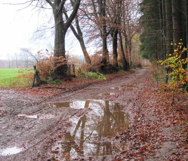 Photo by Kevin Mayne