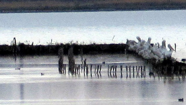 Photo by Kevin Mayne