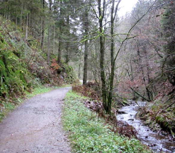 Photo by Kevin Mayne