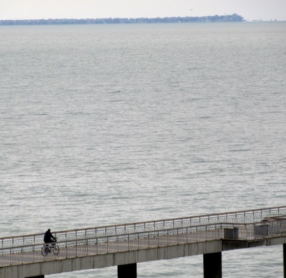 Photo by Kevin Mayne