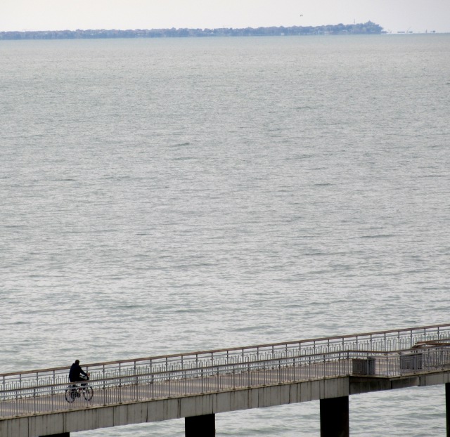 Photo by Kevin Mayne