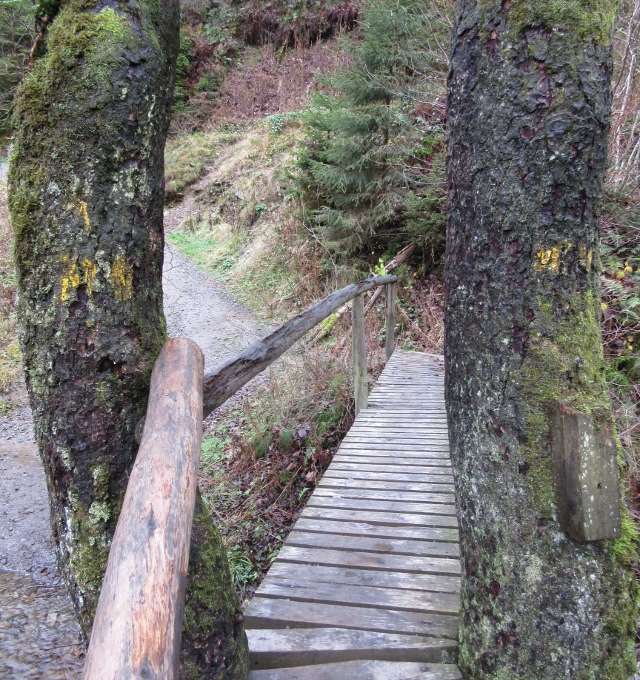 Photo by Kevin Mayne