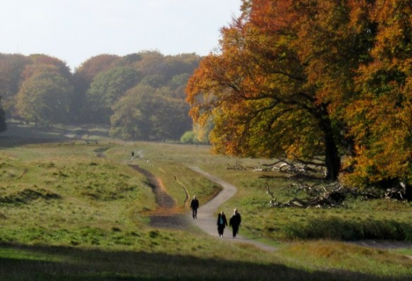 Photo by Kevin Mayne