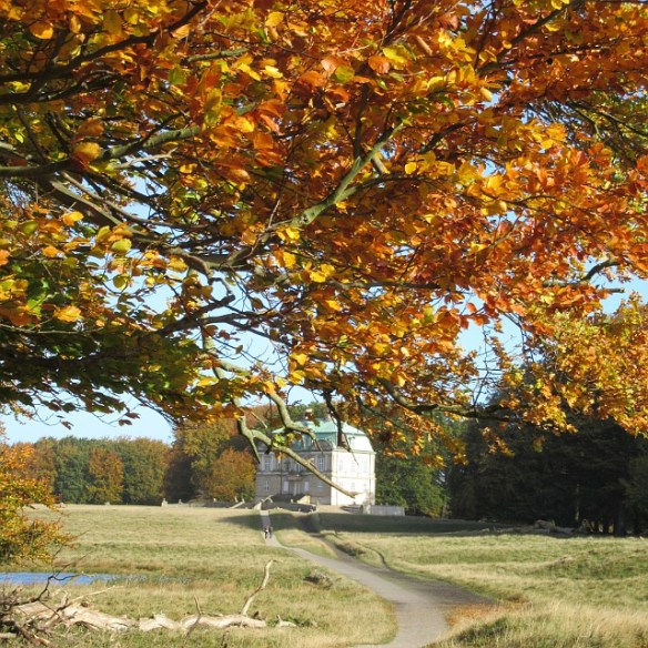 Photo by Kevin Mayne