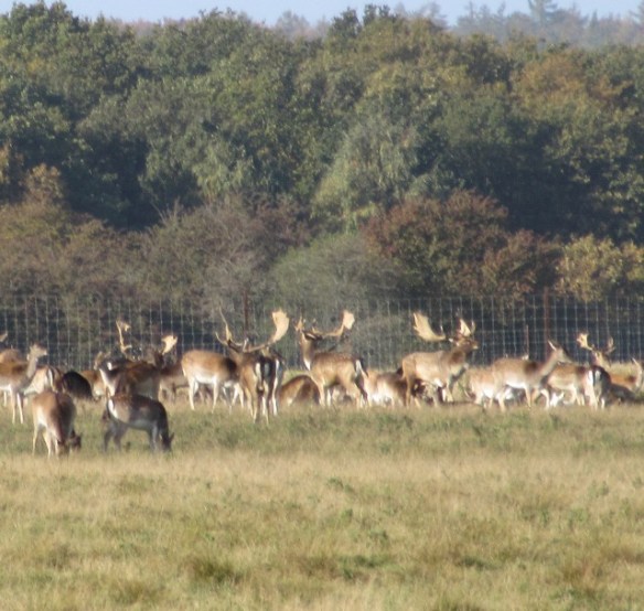 Photo by Kevin Mayne