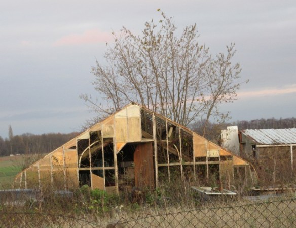 Photo by Kevin Mayne