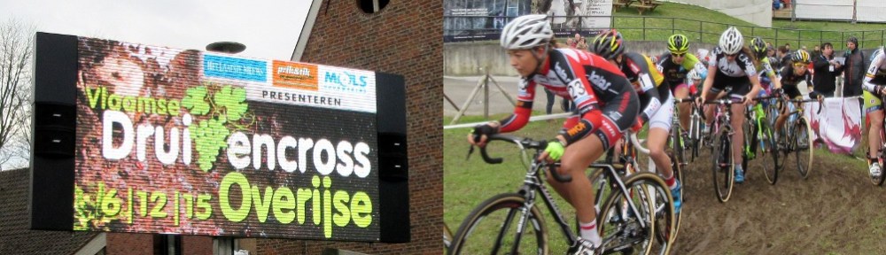 Photo by Kevin Mayne