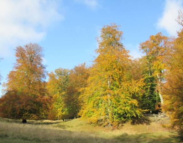 Photo by Kevin Mayne