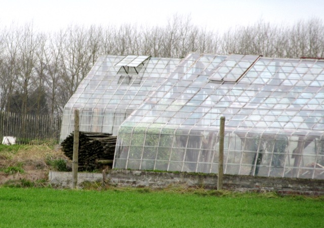 Photo by Kevin Mayne