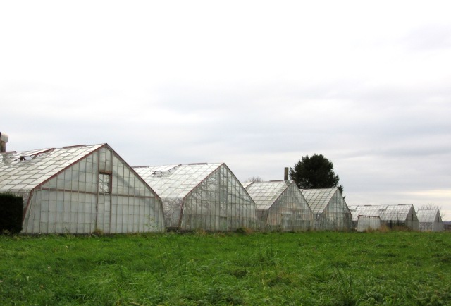 Photo by Kevin Mayne