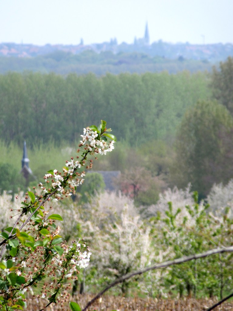 Photo by Kevin Mayne