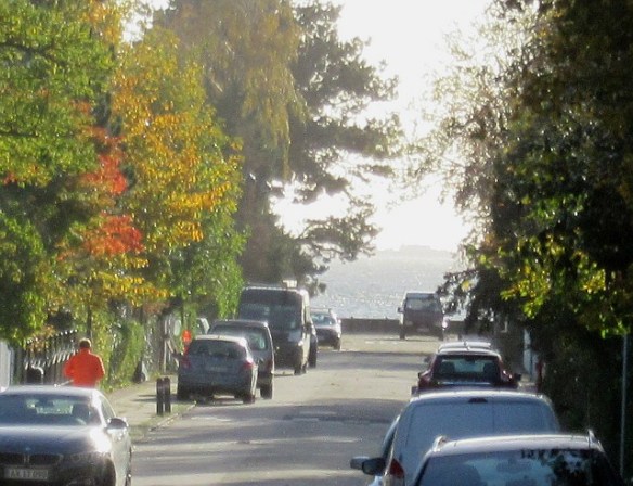 Photo by Kevin Mayne