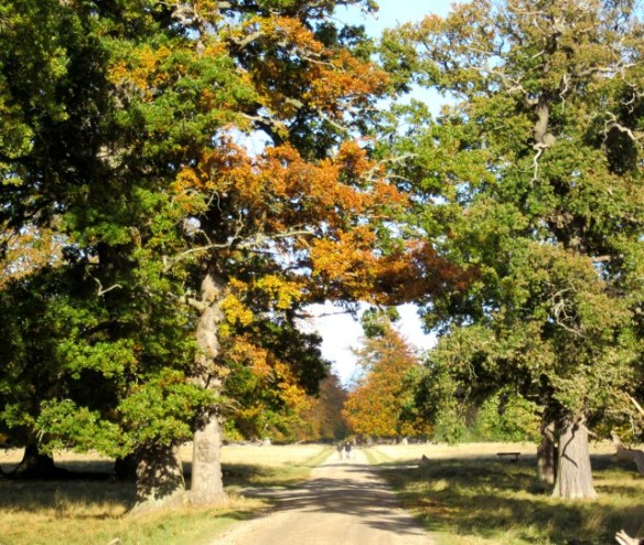 Photo by Kevin Mayne