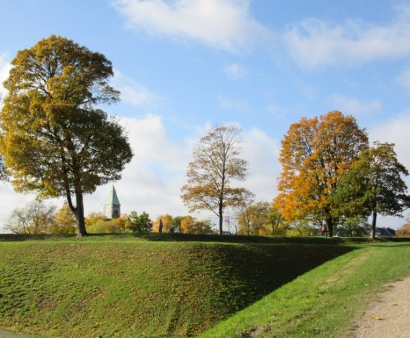 Photo by Kevin Mayne