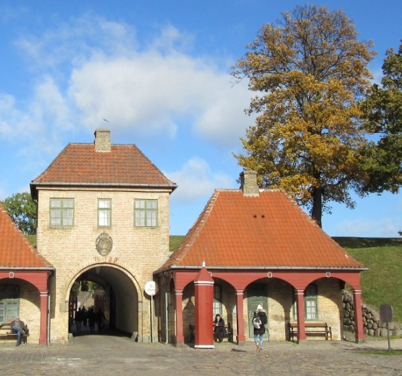 Photo by Kevin Mayne