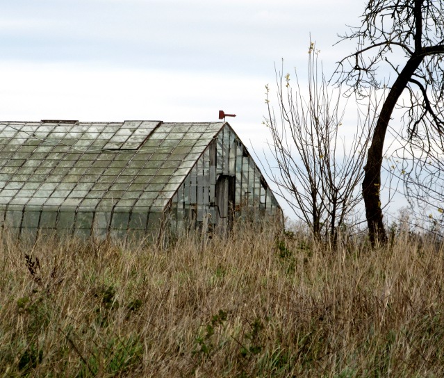 Photo by Kevin Mayne