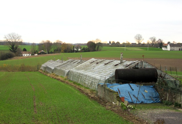 Photo by Kevin Mayne